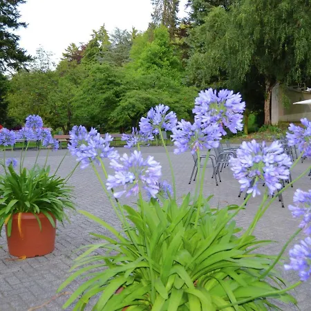 Elevated In With Garden *